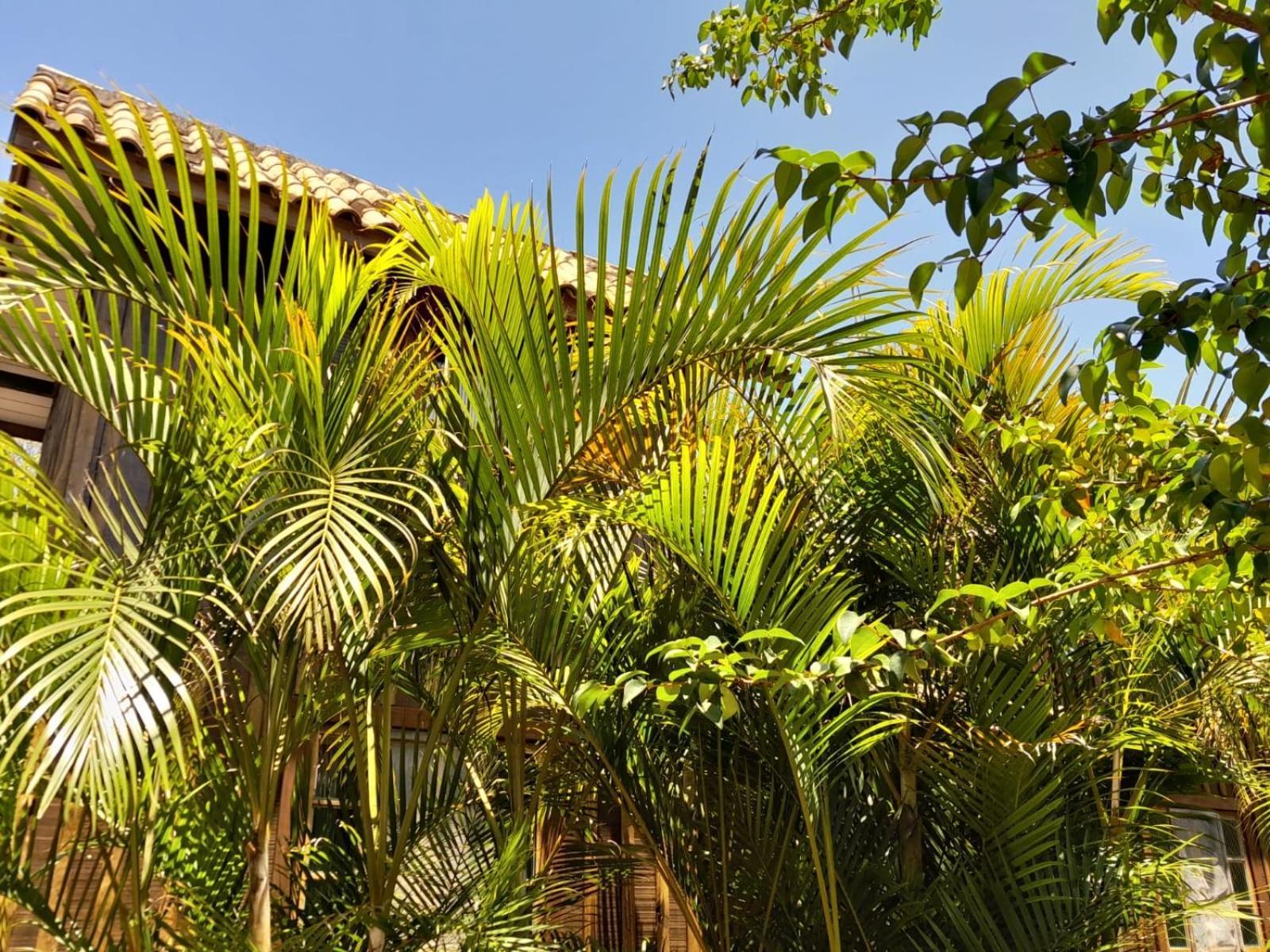 Recanto Das Bromelias Chales Guarda do Embaú Εξωτερικό φωτογραφία